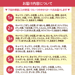 むなかた旬のお任せ セット(野菜・フルーツ)9～11品【JAほたるの里】_HA1570