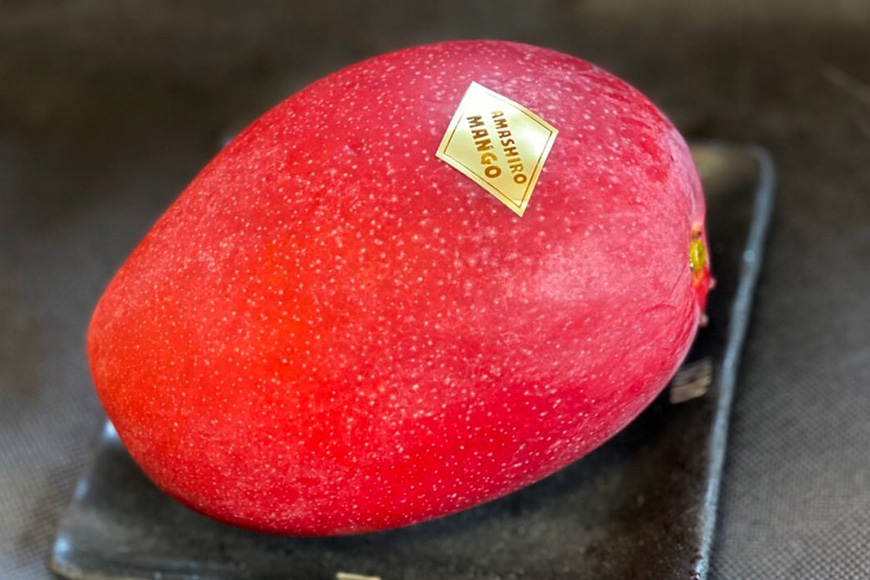 【2026年発送】沖縄県産マンゴー『極み。』2.5kg 山城マンゴー屋 102-3