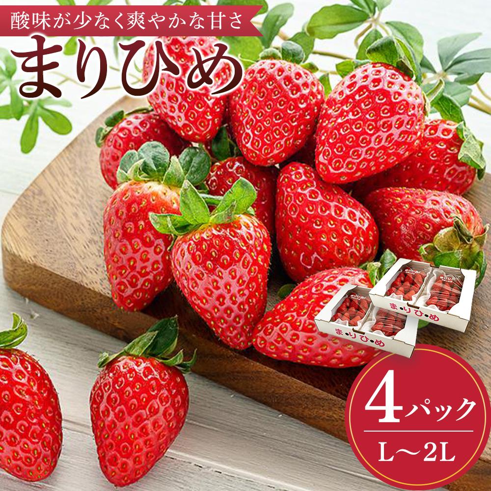 【ふるさと納税】まりひめイチゴ L～2L 12粒～15粒×4パック［2026年1月中旬から発送］［先行販売］［KG8］ | 苺 イチゴ いちご フルーツ 果物 くだもの 食品 人気 おすすめ 送料無料
