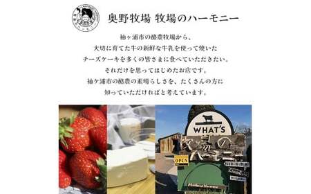 贅沢トッピングのベイクドチーズケーキ 奥野牧場 イチゴスペシャル ホール (大)｜米粉 グルテンフリー チーズ ケーキ スイーツ フルーツ ミルク 牧場 ギフト お祝い 袖ケ浦 [0231]