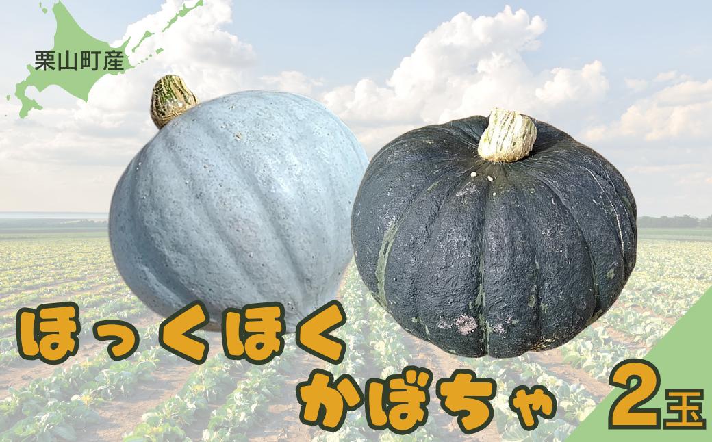 【先行予約】北海道栗山町産 ほっくほくかぼちゃ 2玉（池田農林）