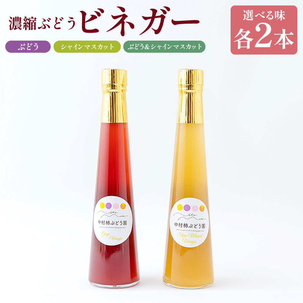 【ふるさと納税】【選べる種類】中村柿ぶどう園 濃縮ぶどうビネガー (ぶどう・シャインマスカット) ビネガー フルーツ酢 濃縮タイプ 詰め合わせ 果実酢 調味料 お酢 酢 料理 送料無料 福岡県 うきは市