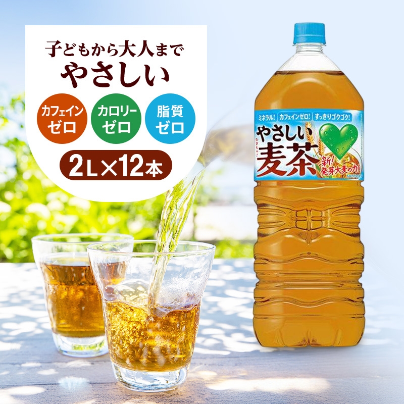 
            麦茶 GREEN DA・KA・RA やさしい麦茶 2L×6本 2箱 ペットボトル
          