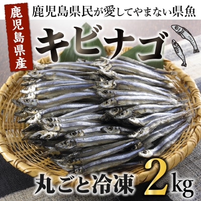 鹿児島県産キビナゴ丸ごと冷凍2kg