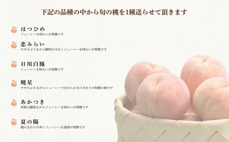 No.1761もも　7月収穫の桃　品種お任せ　約5kg【2026年発送】