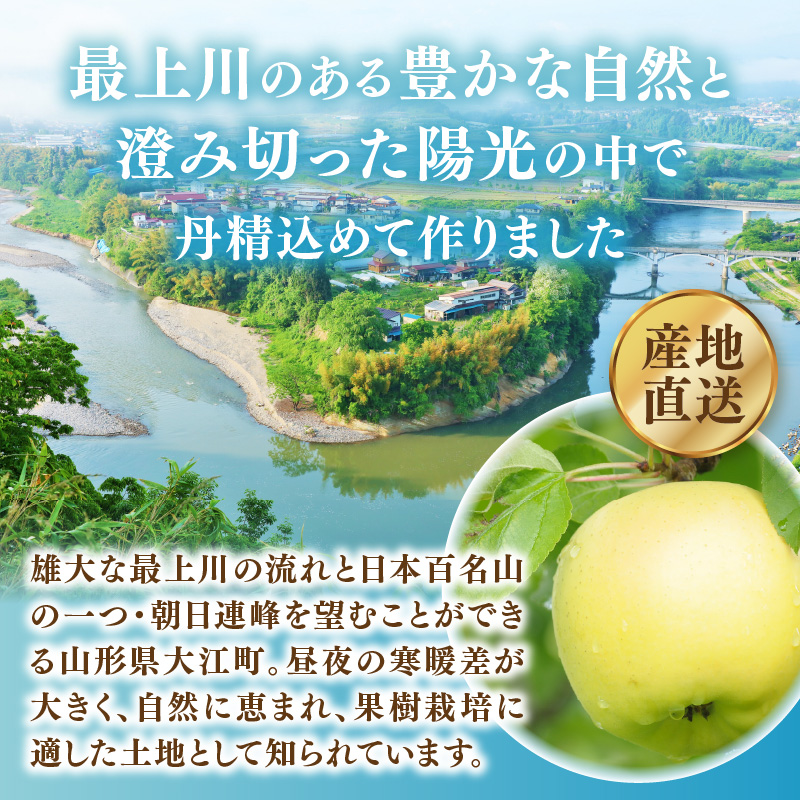 《先行受付》大江町産 りんご シナノゴールド約3kg  【2026年5月上旬頃～順次発送予定】