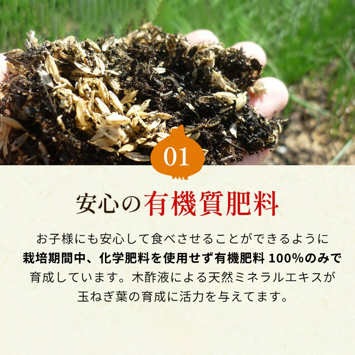 今井ファームの淡路島たまねぎ「かくし玉」20kg