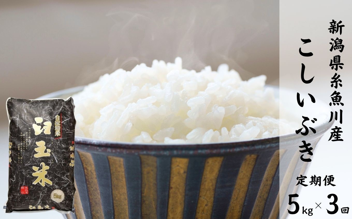 
            令和7年産新米【定期便】新潟県産こしいぶき『臼玉米』5kg×3回 毎月お届け 全15kg 糸魚川産 白米 2025年産 木島米穀店【米 お米 ご飯 ライス ふるさと納税米 ブランド米 コシイブキ 食品 おすすめ 人気 新潟県 糸魚川市 3か月 3ヵ月 3ヶ月】
          