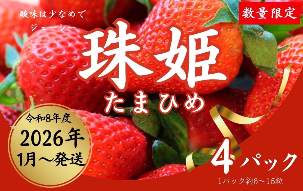 
            【数量限定】2026年予約販売開始  珠姫（たまひめ）×4パック 先行予約 早期終了予定あり いちご 苺 イチゴ ブランド 旬 産地 直送 フレッシュ 新鮮 いちご農家 めいとく農園 奈良県 奈良市 奈良 なら 12-060
          