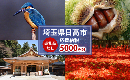 【返礼品無し】日高市応援ふるさと納税　5,000円分