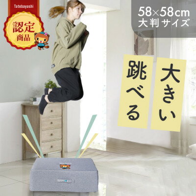 【ふるさと納税】ぽんちゃん トランポリンクッション (ライトグレー) 58cm×58cm 高反発 室内用【1568238】
