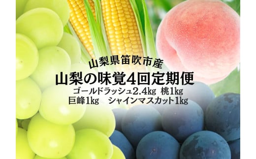 ＜25年発送先行予約＞山梨の味覚定期便　全4回　ゴールドラッシュ　桃　巨峰　シャインマスカット 167-141