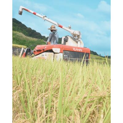 ふるさと納税 鹿島市 令和7年度産 鹿島市産 [さがびよりor夢しずく] 5kg 1袋 【品種指定不可】 玄米 |  | 02