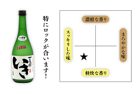 【全12回定期便】隆美焼酎・かめ貯蔵 いき 27度の2本入りセット [JDB200] 180000 180000円