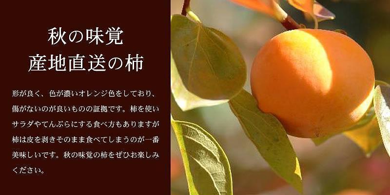 和歌山の種なし柿　約7.5kg（秀品：サイズ・品種おまかせ）／紀伊国屋文左衛門本舗［TC4］
