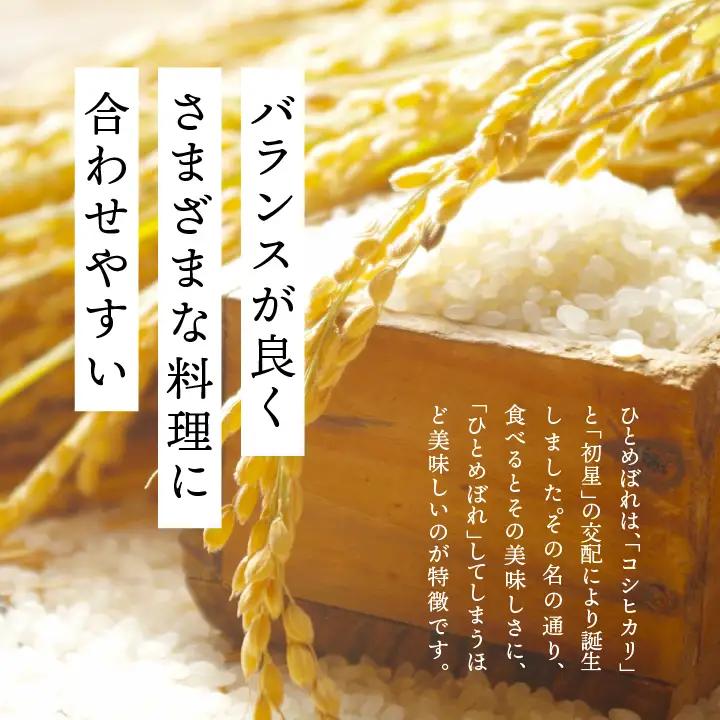 米 令和7年産 ひとめぼれ5kg【株式会社あだたら米】