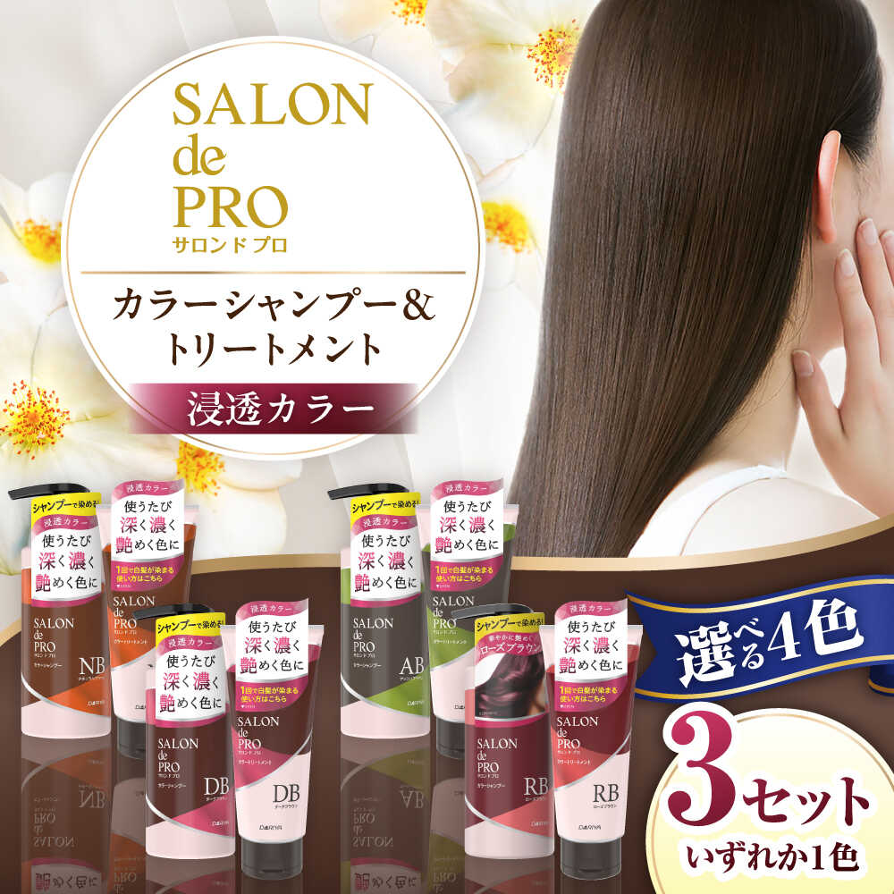 【ふるさと納税】【選べるカラー】 ダリヤ サロンドプロ カラーシャンプー・トリートメント 各3個セット＜ナチュラルブラウン/ダークブラウン/アッシュブラウン/ローズブラウン＞ / 稲沢市 / 日興商事株式会社[BMBK005]