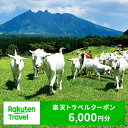 【ふるさと納税】熊本県高森町の対象施設で使える楽天トラベルクーポン 寄付額20,000円