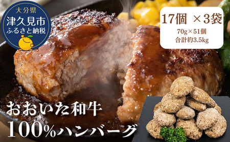 おおいた和牛100%　ハンバーグ　約70g×51個　合計約3.5kg　|　津久見市