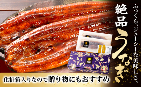 うなぎ 鰻 国産 うなぎ蒲焼 ウナギ蒲焼用たれ 蒲焼 たれ うなぎ蒲焼2尾（計320ｇ以上）国産うなぎ