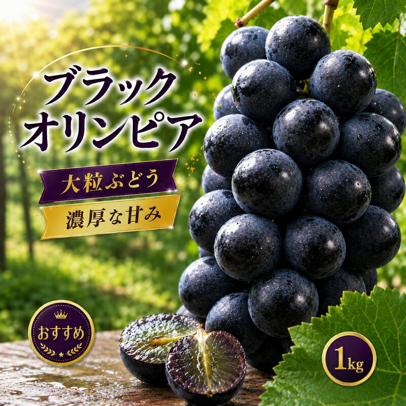 【ふるさと納税】 ブラックオリンピア 約1kg 2〜3房 / ぶどう 巨峰 甘い 和歌山 ※2026年8月上旬～下旬に順次発送予定 ※北海道・沖縄・離島への配送不可 //hokaf