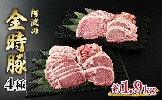 国産 豚肉 切り落とし 1.92kg ロース バラ セット 4種 阿波の金時豚