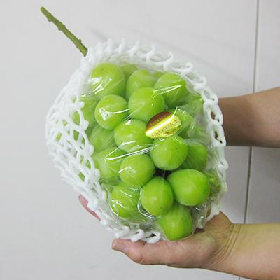 ふるさと納税 三木町 【発送月固定定期便】美味しい季節のフルーツ全6回 |  | 01