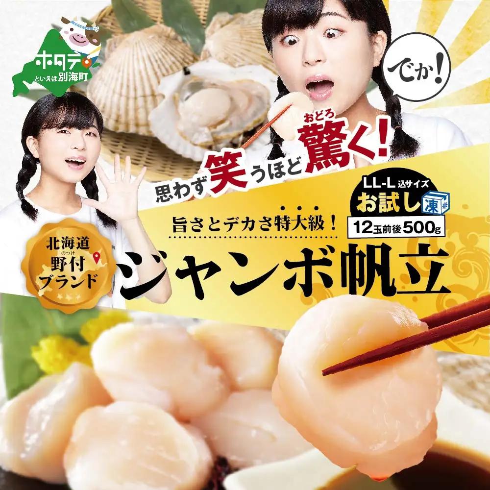 思わず笑うほど驚くお試しジャンボホタテ500g 北海道 野付産 ほたて 冷凍 玉冷 （ ほたて ホタテ 帆立 貝柱 北海道 野付 人気 ふるさと納税 ）