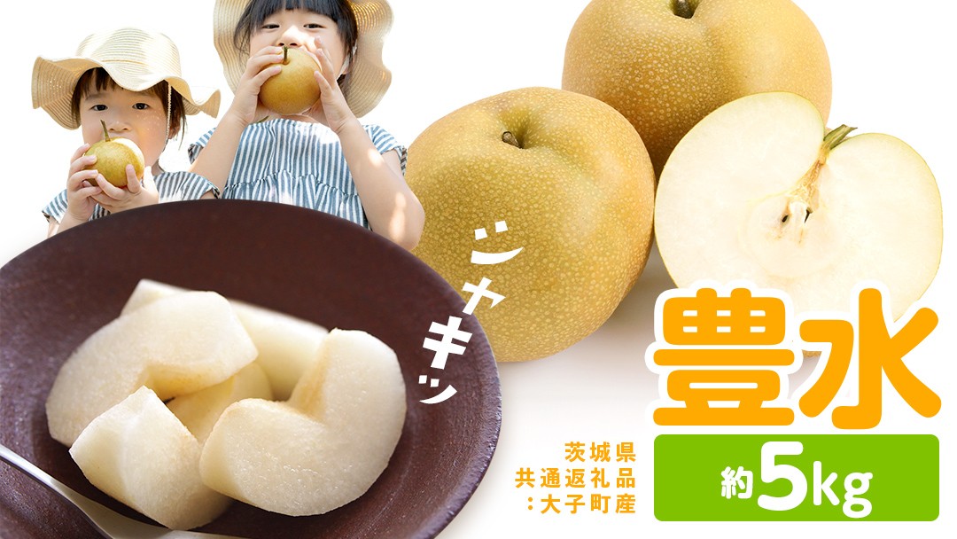 
                  梨 豊水 約5kg 【2026年9月より発送開始】（茨城県共通返礼品 [梨]：大子町産）田舎の頑固おやじが厳選！ なし 豊水梨 果物 くだもの フルーツ 旬 高糖度 ギフト 美味しい 甘い デザート
                