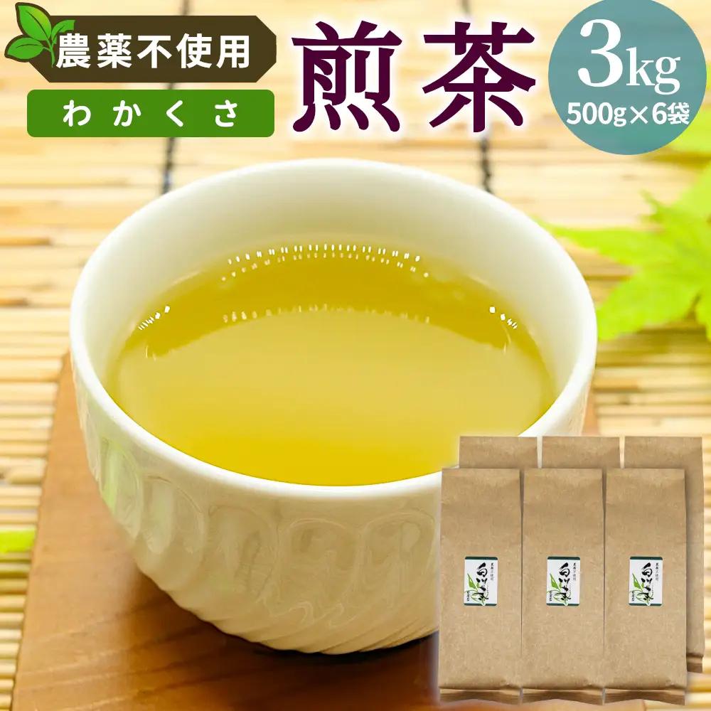 農薬不使用！煎茶 わかくさ 3kg 常磐園 白川茶 美濃白川茶 日本茶 緑茶 煎茶 茶葉 お茶 二番茶 春摘み リーフ 国産 大容量 岐阜県 東白川村 家庭用 事務所用