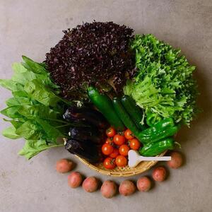 ◆全12回定期便◆【つくだ農園】《有機JAS認証 有機野菜10品入り》京都の棚田大原で心を込めて大切に露地栽培された大地の恵みたっぷりの有機野菜!［ 有機野菜 京都 野菜 有機栽培 定期便 セット 季