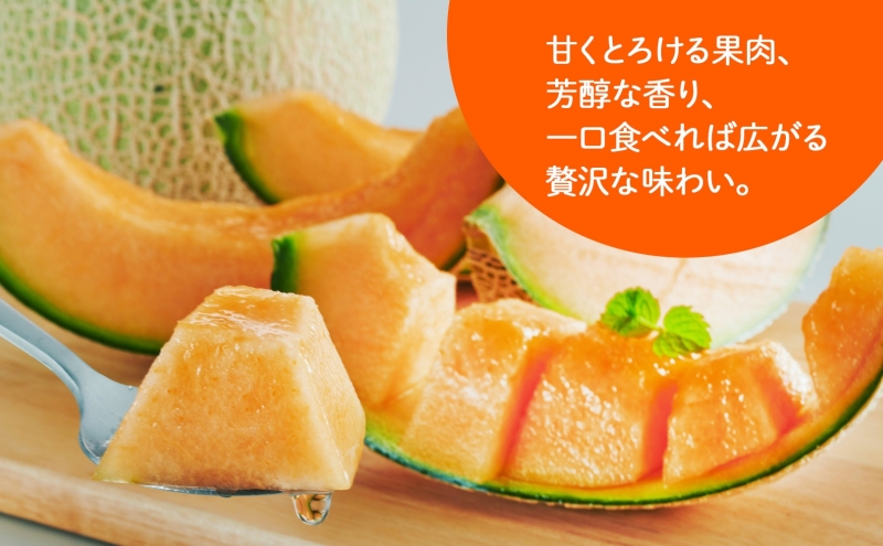 ＜2025年発送 先行受付＞ふらの産 しあわせのメロン 赤肉 4〜5玉 計8kg メロン 富良野メロン 赤肉メロン 果物 フルーツ 甘い 美味しい スイーツ ギフト 贈答 送料無料 ウエノ農園 北海道