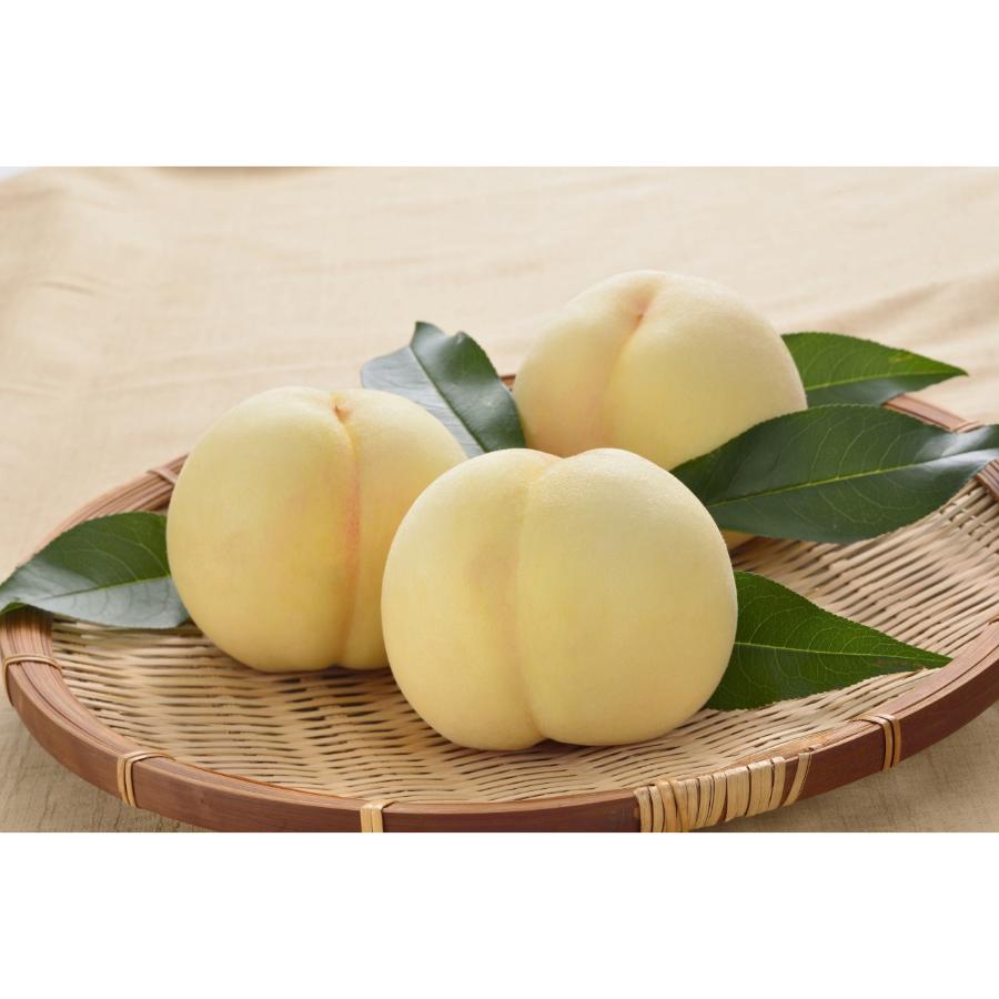 ＜岡山県青果物販売＞「おかやま夢白桃」260g×5玉