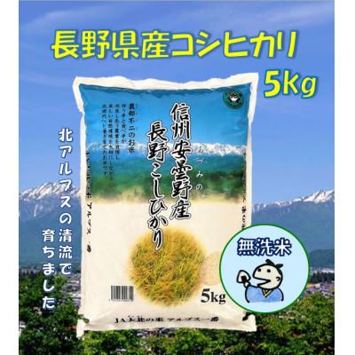 ふるさと納税 池田町 長野県産コシヒカリ5kg(無洗米)