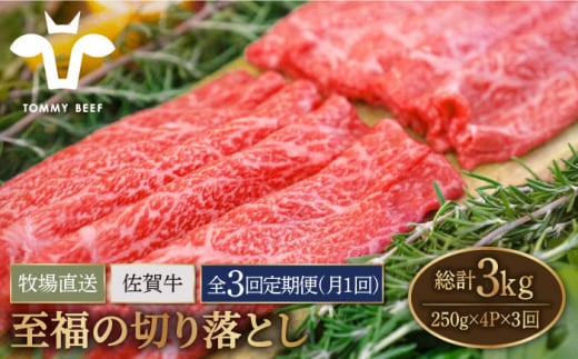 【牧場直送】【3回定期便】佐賀牛 至福の切り落とし 1kg（250g×4パック）【有限会社佐賀セントラル牧場】 [IAH094]