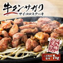 【ふるさと納税】牛肉 牛タンサガリ サイコロステーキ セット 1kg ( 500g × 2パック ) 約6 ～ 8人分 二日 熟成 塩味 | 肉 お肉 にく 焼肉 焼き肉 やきにく BBQ バーベキュー パーティ 冷凍 美味しい ギフト お取り寄せ グルメ 人気 おすすめ 佐利 宮城県 登米市