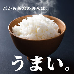 【数量限定】 令和7年産 コシヒカリ 玄米 精米 特別栽培 10㎏  echigosugatani002