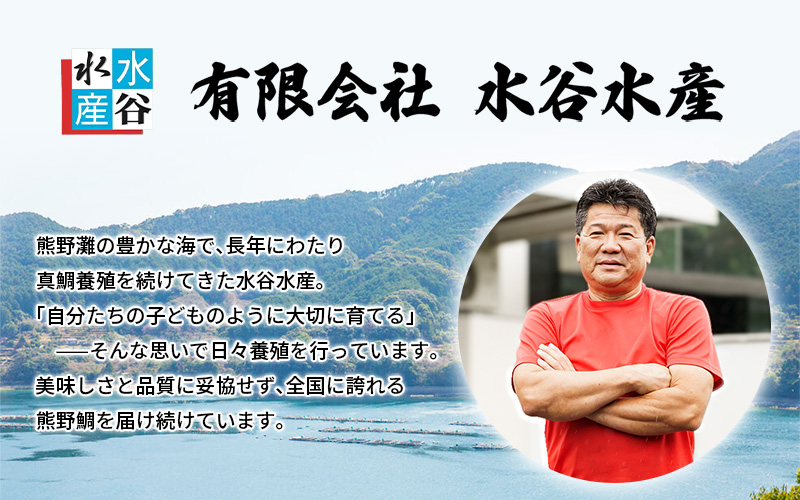 <テレビで紹介されました> 配送日指定可 新姫 熊野鯛 3枚おろし アラ付き  一匹 【冷蔵】 鯛 タイ 刺身 お刺身 さしみ 真空 海鮮 魚介 鮮魚 養殖 寿司 お寿司 塩釜焼き 塩焼き しゃぶしゃ
