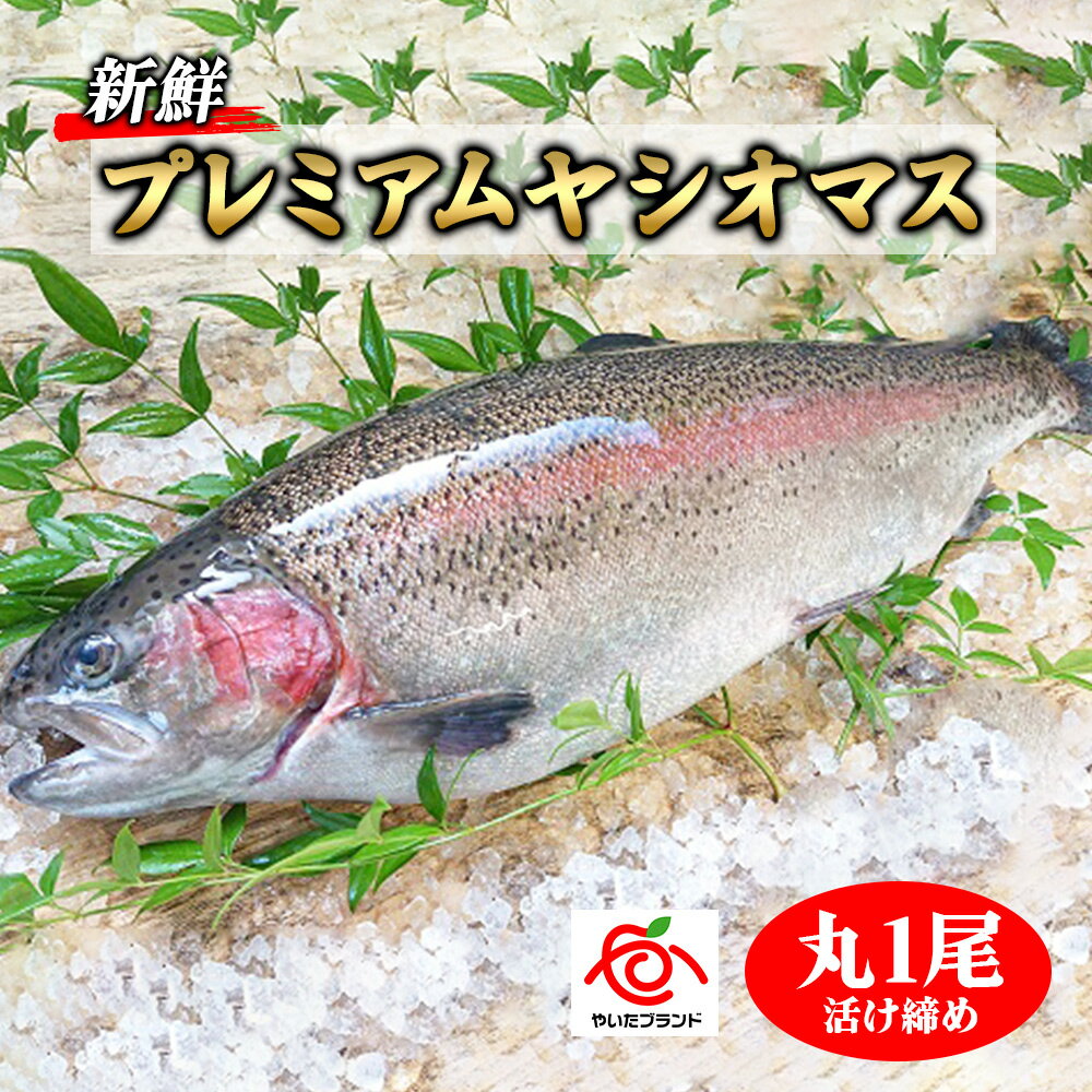 【ふるさと納税】栃木県のブランド魚「プレミアムヤシオマス」丸1尾 新鮮 活け締め｜鮮魚 鱒 国産 産地直送 [0355]