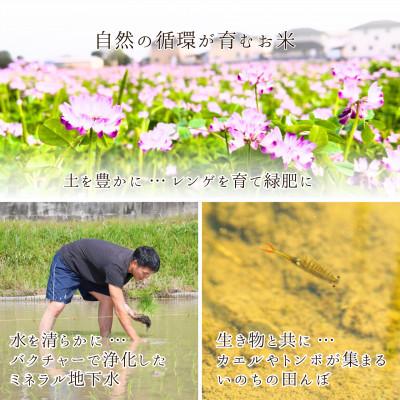 ふるさと納税 津山市 2025年新米【コシヒカリ 白米10kg】|-comeback未来ce- |  | 01