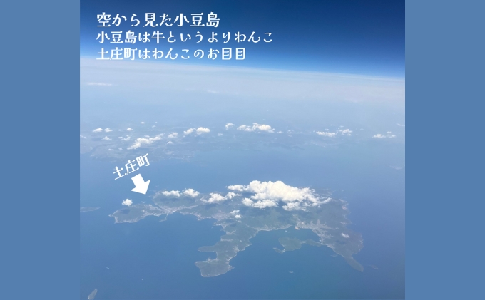 小豆島産オリーブオイル 100% 搾りたて 小豆島産三代松家オリーブオイル (エクストラバージンオイル・無濾過) 67ml 1本