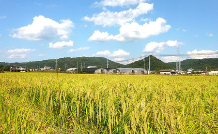 庵 備前雄町 無濾過特別純米 720ml ×2本セット 日本酒 岡山県