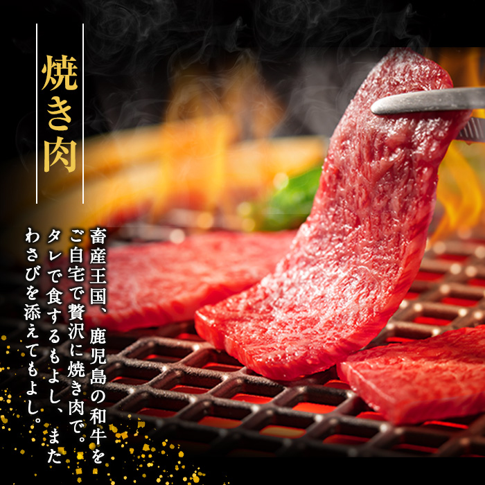 鹿児島県産　黒毛和牛ロース焼肉400g_starzen-6079