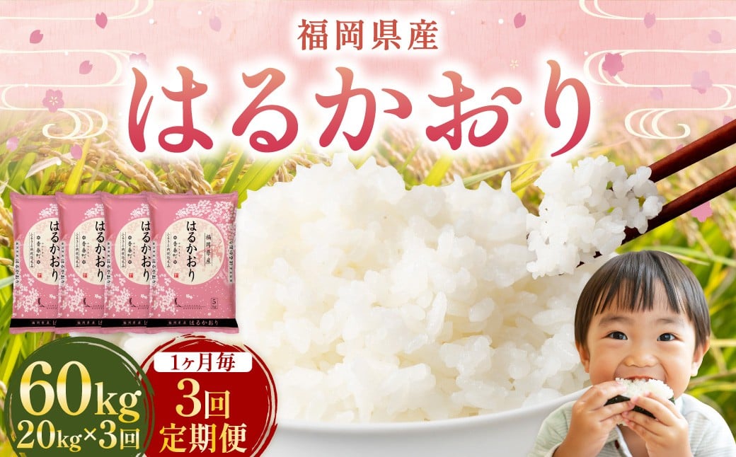 
            【1ヶ月毎3回定期便】 はるかおり 20kg 計60kg ／ 米 コメ お米 ライス ご飯 ごはん 飯 食品 精米 定期便 常温 福岡県 香春町
          