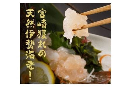 伊勢海老1kg（2～4尾） 【 魚介 伊勢海老 イセエビ 】