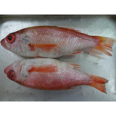 ふるさと納税 射水市 のどぐろ一や干し　3枚 |  | 02