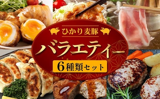 鹿児島県産 ひかり麦豚 バラエティーセット 冷凍 精肉 加工品 | 肉 お肉 にく 豚肉 黒豚 かごしま黒豚 ロース ハンバーグ メンチかつ 衣付き 餃子 真空冷凍 産地直送 新鮮 小分け 産地直送 鹿児島県 南大隅町 ひかり麦豚直売所　HM-13