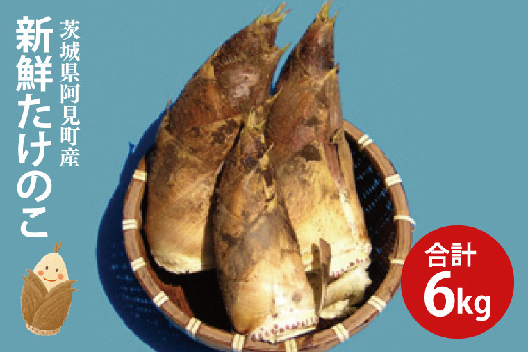 
                  23-01 【先行予約】【令和7年4月初旬発送】茨城県阿見町産たけのこ6kg【たけのこ タケノコ 孟宗竹 モウソウチク 無農薬 掘りたて】
                