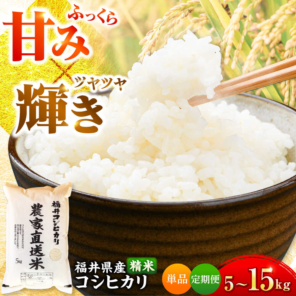 【ふるさと納税】【 先行予約 /9月以降発送】【令和7年産】福井県産こしひかり 精米 5kg（ビニール袋）＼選べる単品・定期便回数／ お米 米 白米 こめコシヒカリ 小浜市 / シマダ農園[BFAV001 BFAV009 BFAV010]