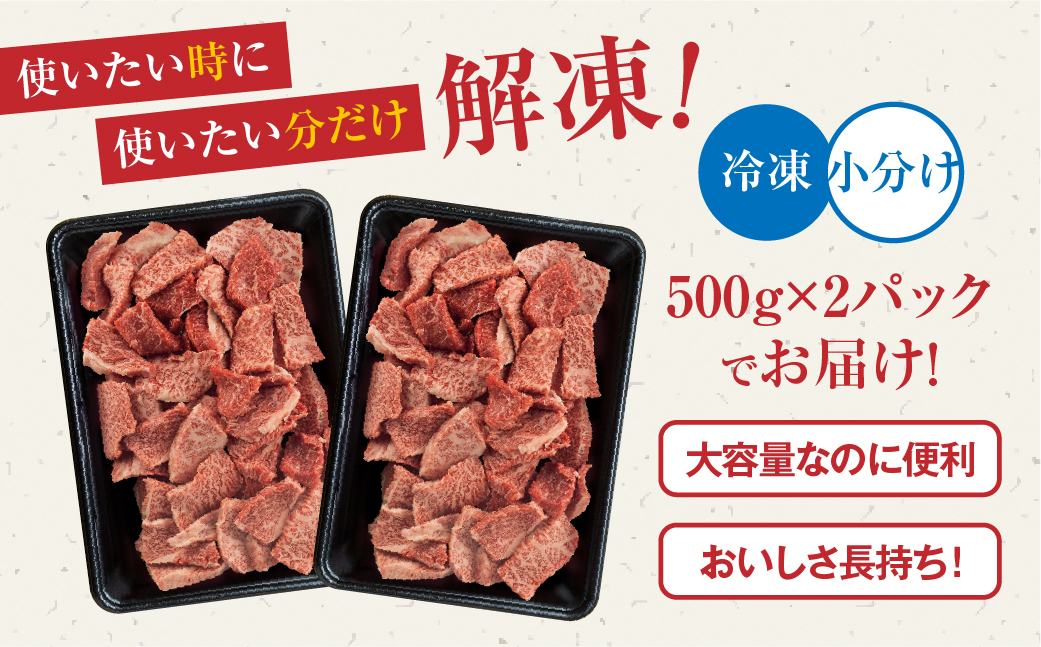 [A5等級] 飛騨牛【訳あり】飛騨牛 焼肉 切り落とし 500g × 2 計 1kg | 牛肉 肉 切落し 和牛 牛肉 肉 わけあり ワケアリ 不揃い 小分け 冷凍 焼き肉 お肉 やきにく 着日指定 